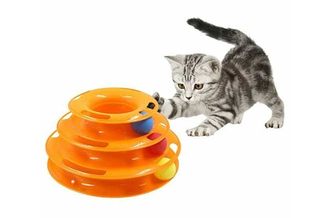 Best Toys and Accessories for Your Cat