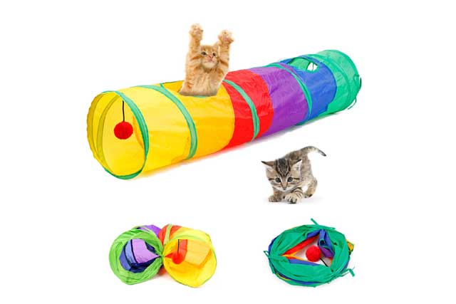 Best Toys and Accessories for Your Cat