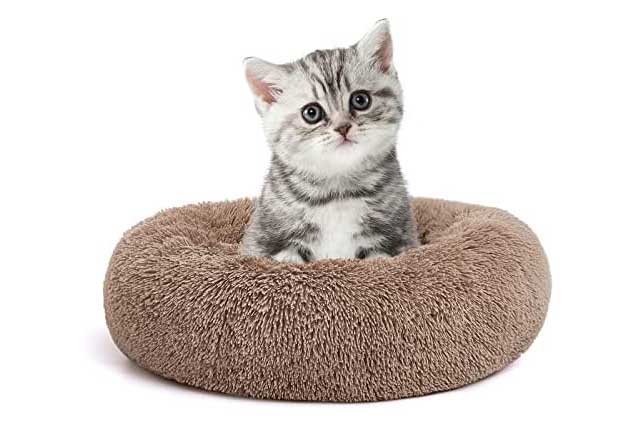 Best Toys and Accessories for Your Cat