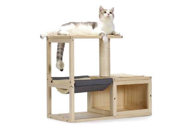 Best Toys and Accessories for Your Cat