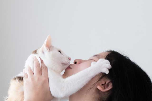 Most Common Reasons Behind Your Cat's Tongue Baths