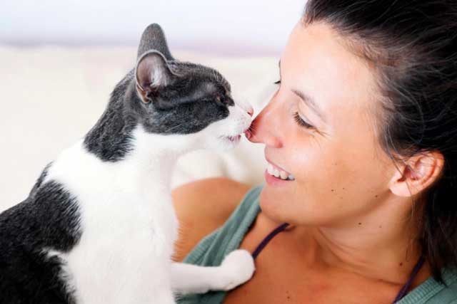 Most Common Reasons Behind Your Cat's Tongue Baths